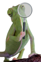 chameleon-holding-magnifying-glass-trans-copy-200x300